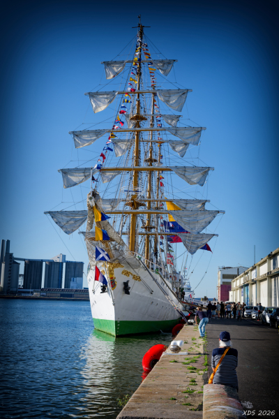 NM8_6942_Nik_DxO