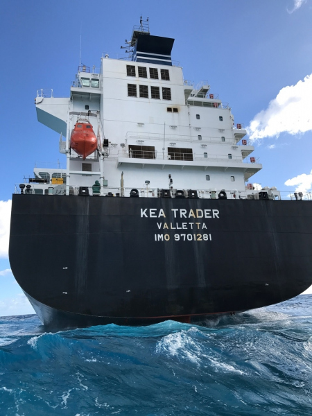 Poupe kea trader
