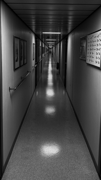 IMG_3252