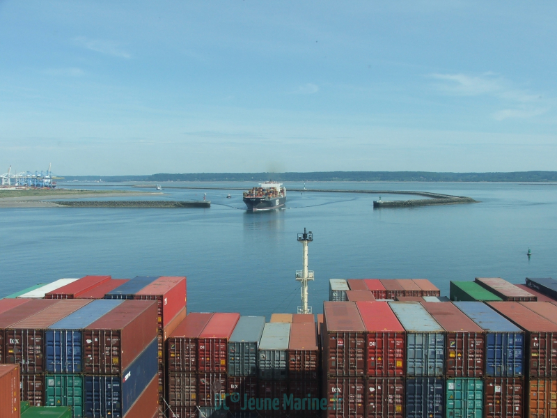 MOL Triumph Crx MSC P 2000 DC