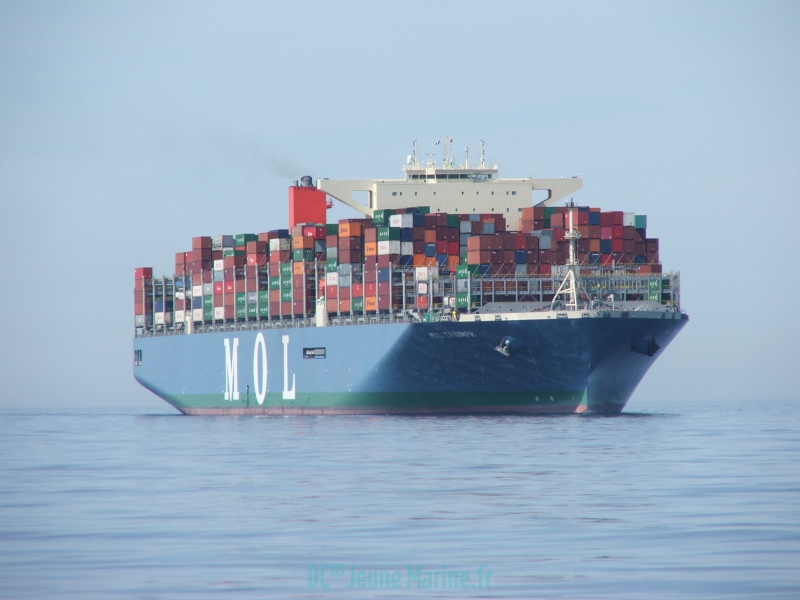 MOL Triumph av Td DC
