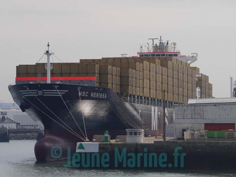 MSC Nerissa copie