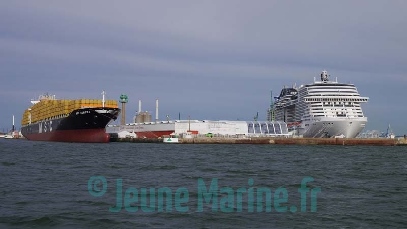 nerissa meraviglia 2 JVD copie