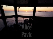 Vues dans le port du Havre © Alice PAVIOT Capitaine Boluda Le Havre