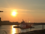 Vues dans le port du Havre © Alice PAVIOT Capitaine Boluda Le Havre