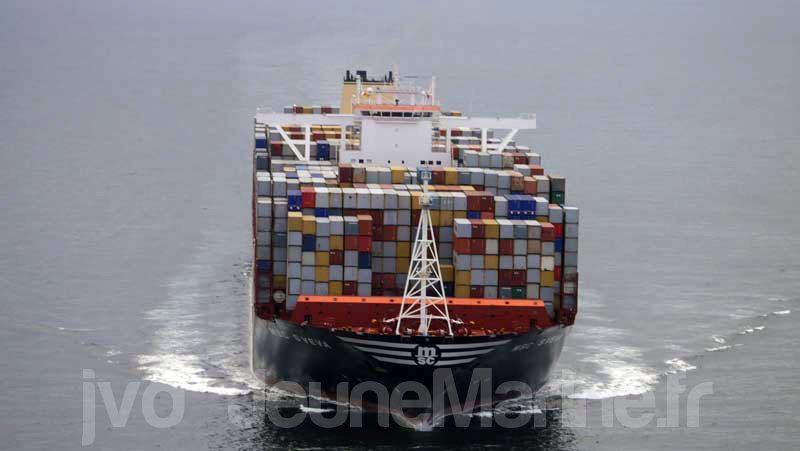 msc-sveva-face-bas