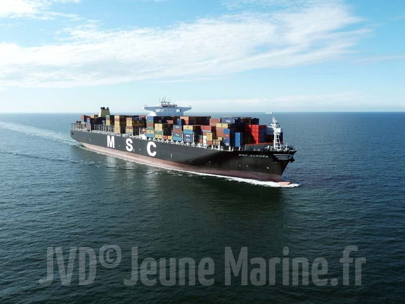 MSC Aurora 8