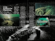 IMG-20210606-WA0004