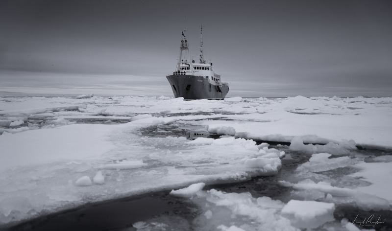 Polarfront © Virgil Reglioni