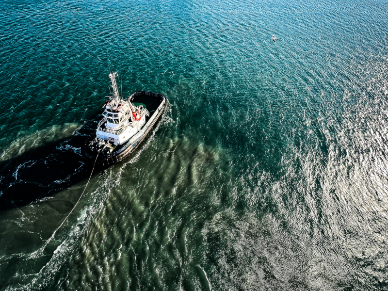 Bird-view-