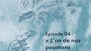 Women Of The Seas : Episode 04 : "L'un de nos poumons respire grâce au plancton"