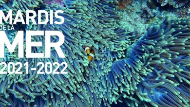 Les Mardis de la Mer édition 2021/2022, Institut Catholique de Paris