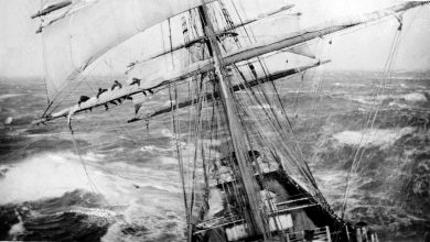 À bord du navire Garthsnaid en mer. Une vue depuis le haut du gréement. Image d’Allan C. Green, vers 1920.