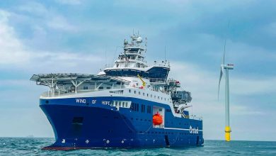 Wind of Hope © F.P. Cubadda