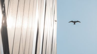 Summer School ENSM 2025 © ENSM